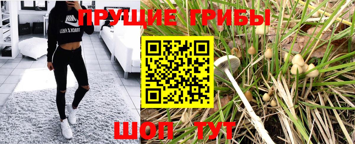 Уварово  Псилоцибиновые грибы GOLDEN TEACHER  Вход с VPN 