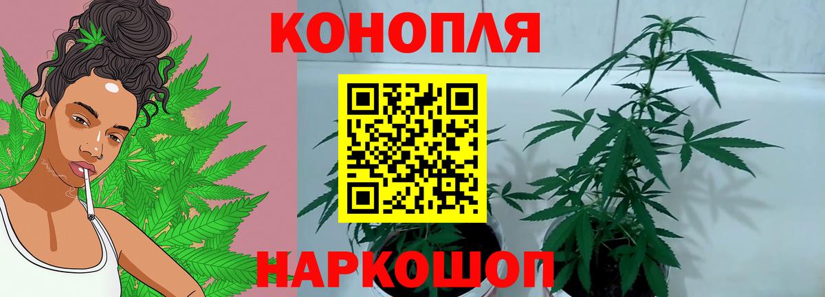 Канабис MAZAR  Канабис LSD WEED  Конопля сатива  Вход с VPN  Уварово 